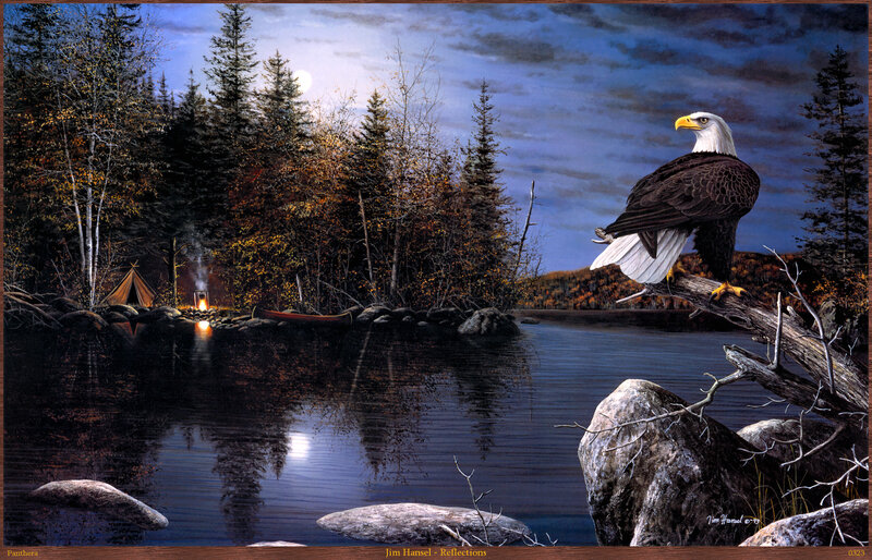 Bald Eagle on Branch — Blue, Serene, Night