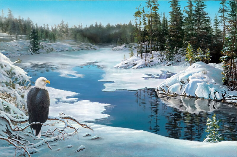 Bald Eagle on Branch — Blue, Serene