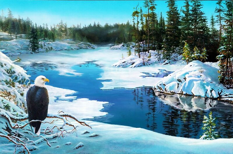 Bald Eagle on Branch — Blue, Serene, Winter