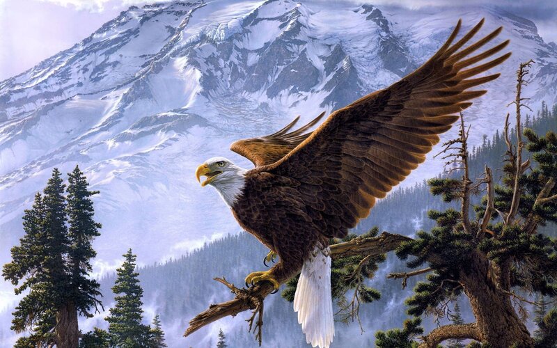 Bald Eagle on Branch — Brown, Dramatic, Digital Art, Mountain, Tree