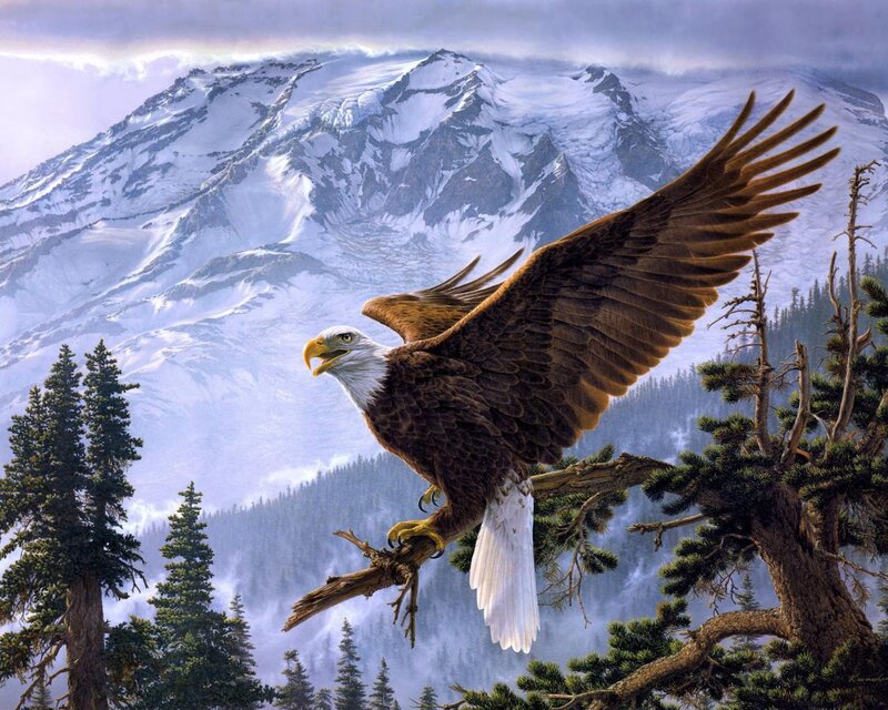 Bald Eagle on Branch — Brown, Dramatic, Digital Art