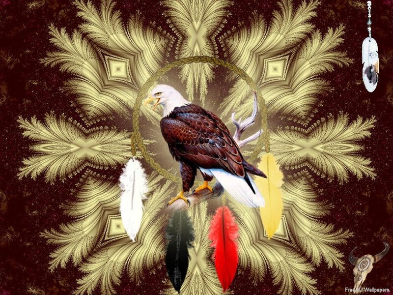 Bald Eagle on Branch — Brown, Spiritual