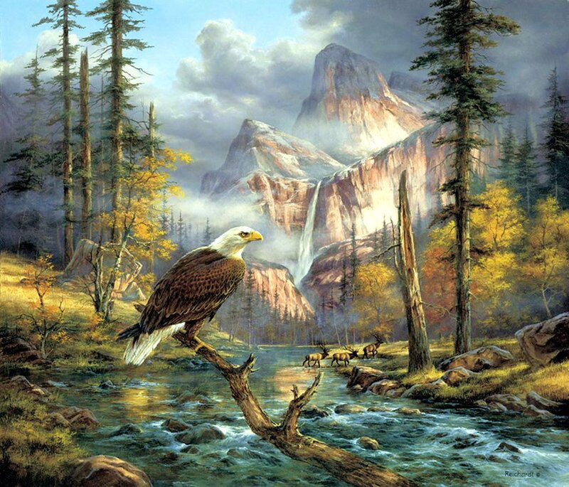 Bald Eagle on Branch — Green, Serene, Autumn