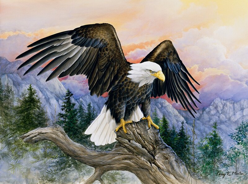 Bald Eagle on Branch — White, Dramatic