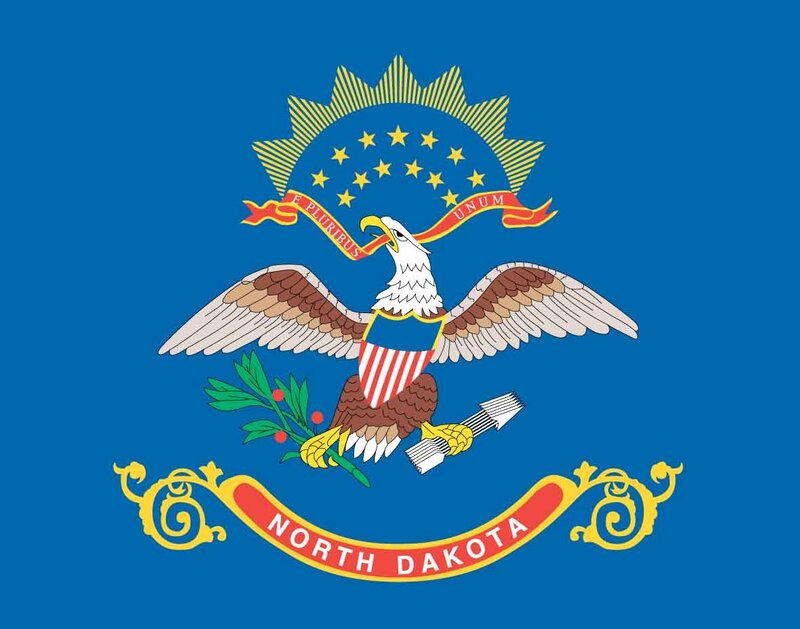 Bald Eagle on Flag — Blue