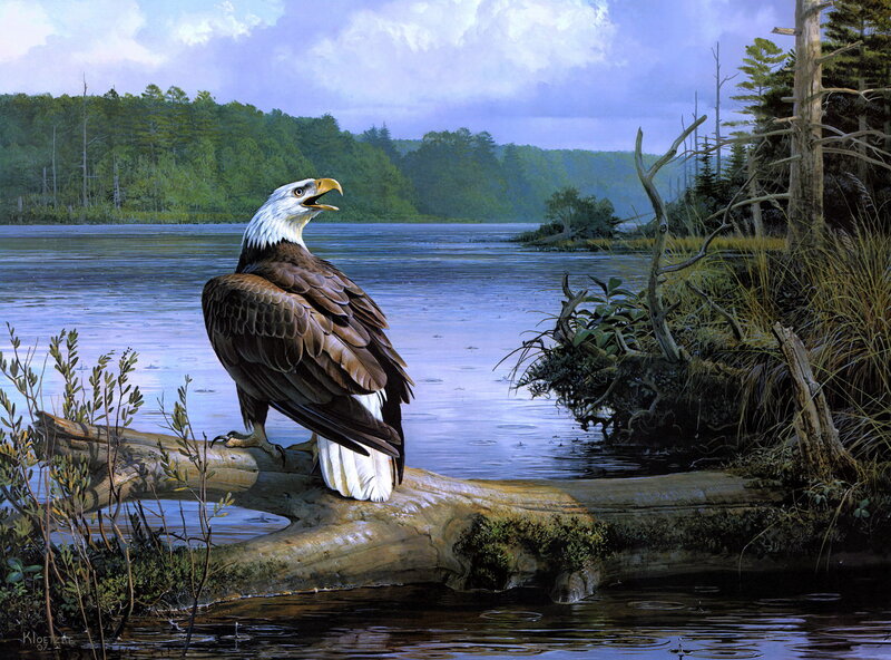 Bald Eagle on Log — Blue