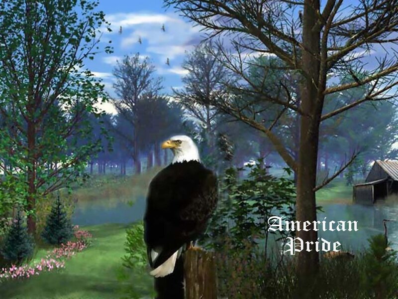 Bald Eagle on Post