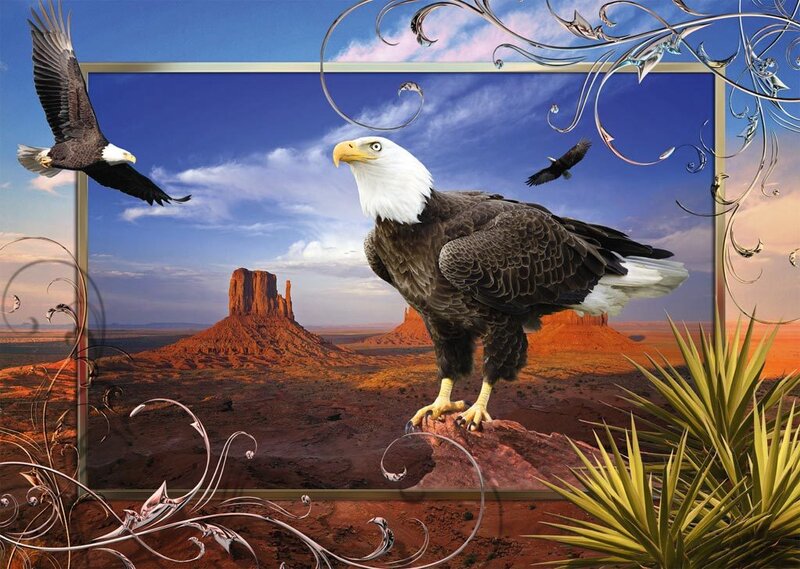 Bald Eagle on Rock — Blue