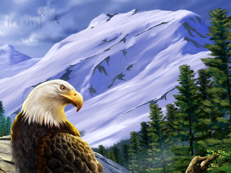 Bald Eagle on Rock — White, Serene, Digital Art