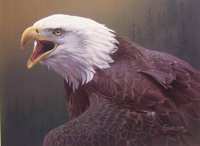 Bald eagle portrait painting