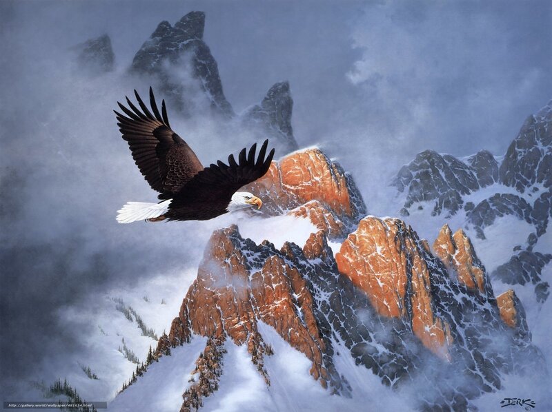 Bald eagle soaring over mountains