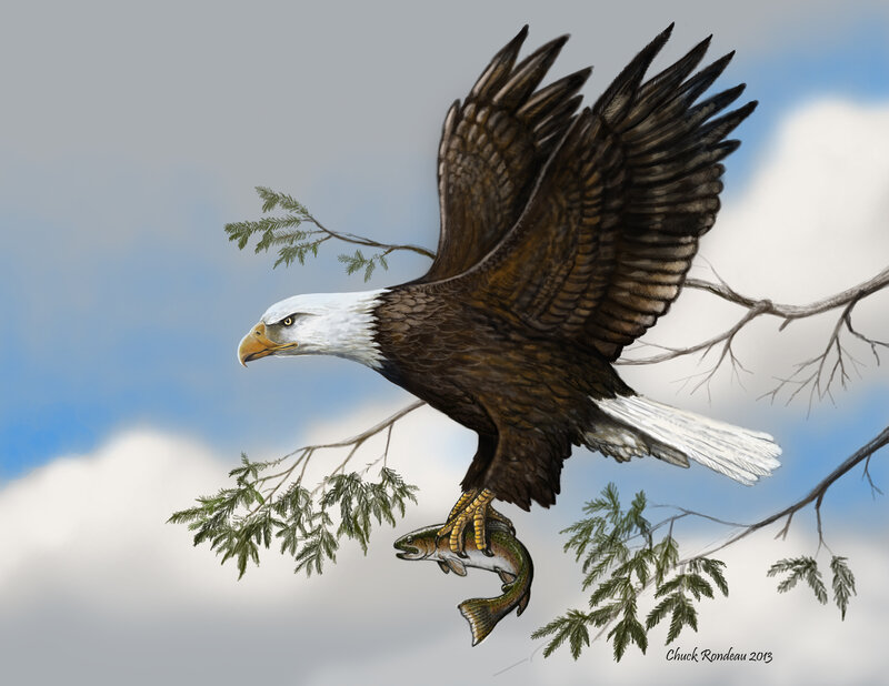 Bald Eagle with Fish — Brown, Dramatic, Digital Art