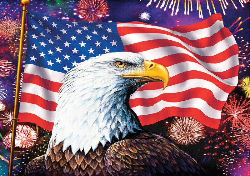Bald Eagle with Flag — Red, Patriotic, Night, Illustration