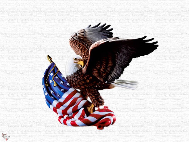 Bald Eagle with Flag — White, Patriotic, Digital Art