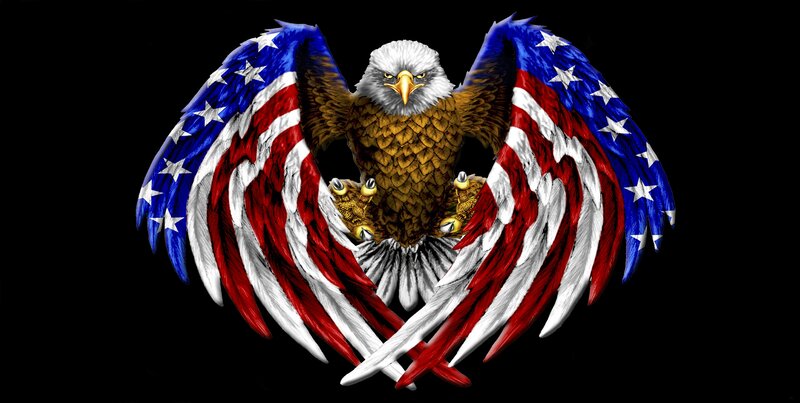 Bald Eagle with Flag Wings — Black