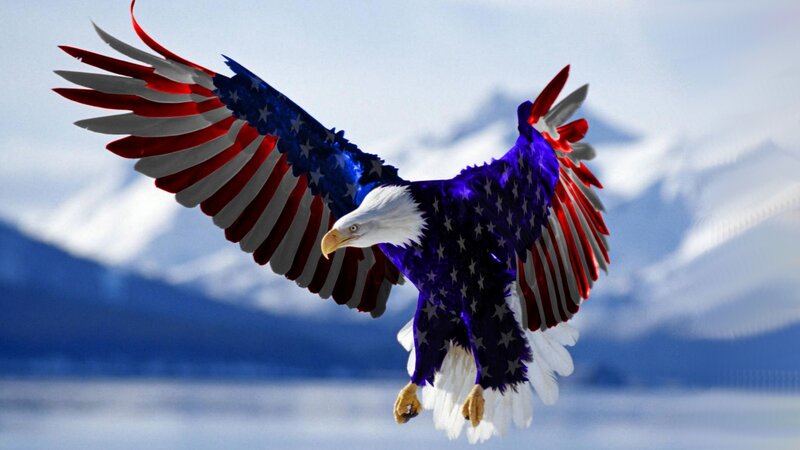 Bald Eagle with Flag Wings
