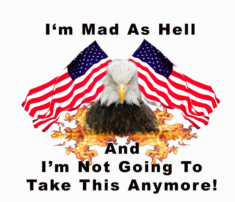 Bald Eagle with Flags