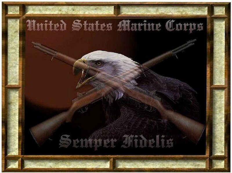 Bald Eagle with Rifles