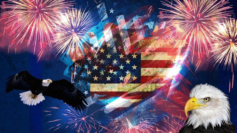 Bald Eagles and Fireworks