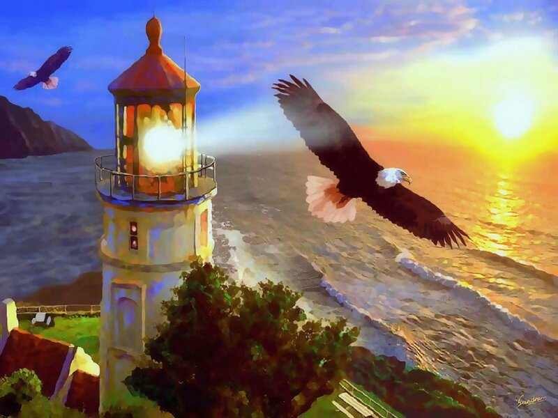 Bald Eagles Flying — Blue, Dramatic, Sunset