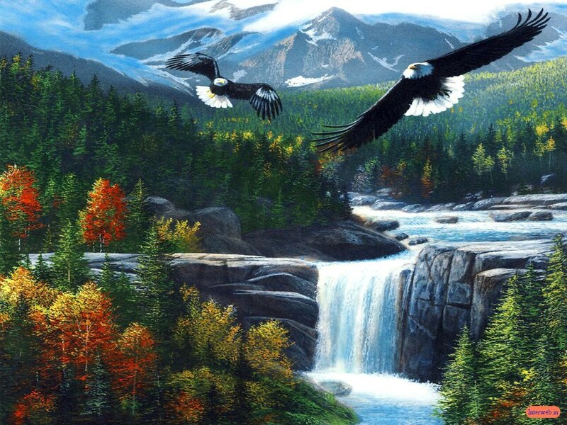 Bald Eagles Flying — Green