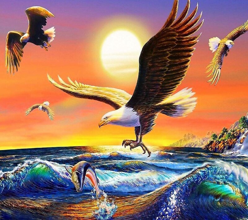 Bald Eagles Hunting Fish — Blue
