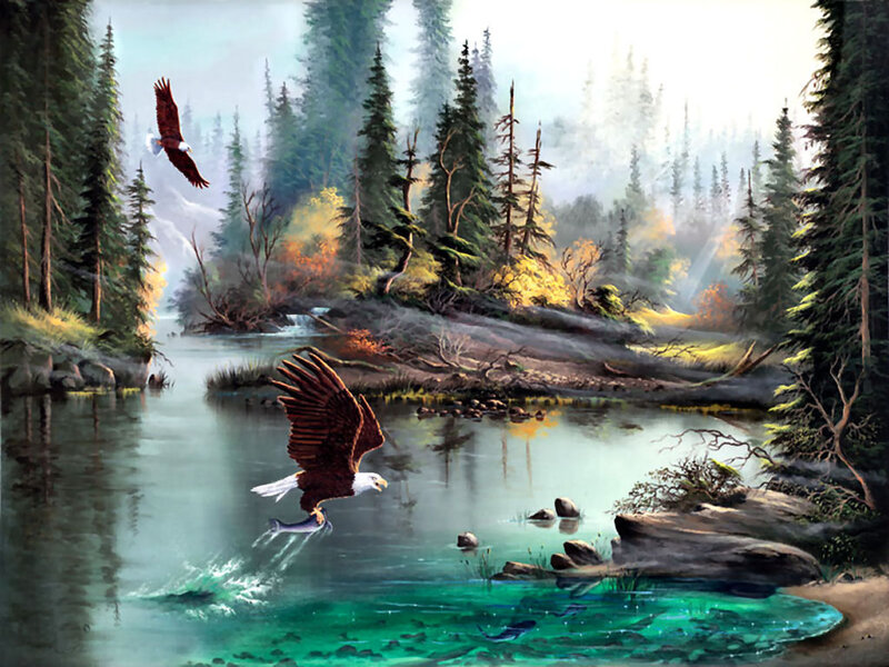 Bald Eagles Hunting Fish — Green, Serene