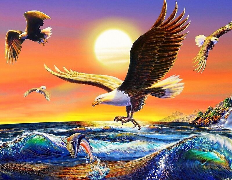 Bald Eagles Hunting Fish — Orange