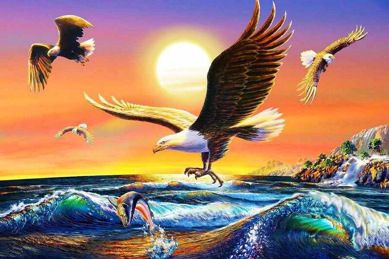 Bald Eagles Hunting Fish