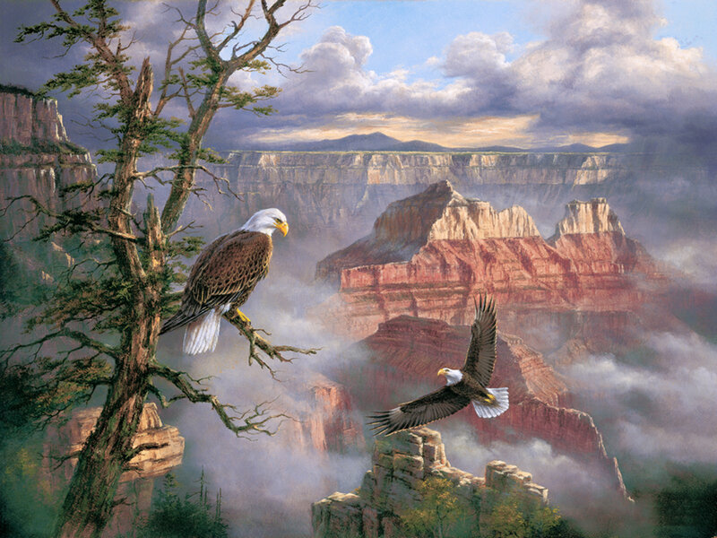 Bald Eagles in Canyon — Brown