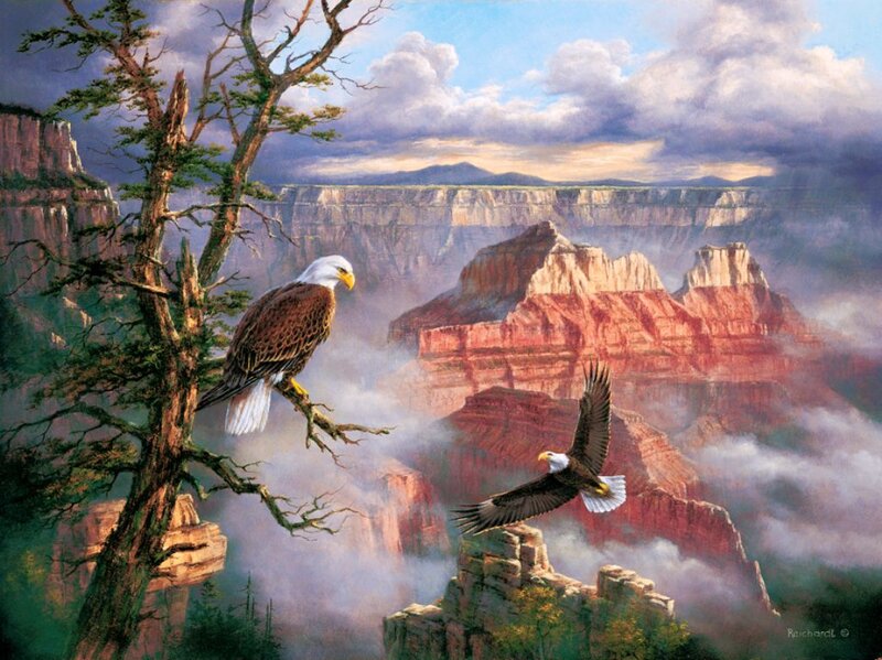 Bald Eagles in Canyon