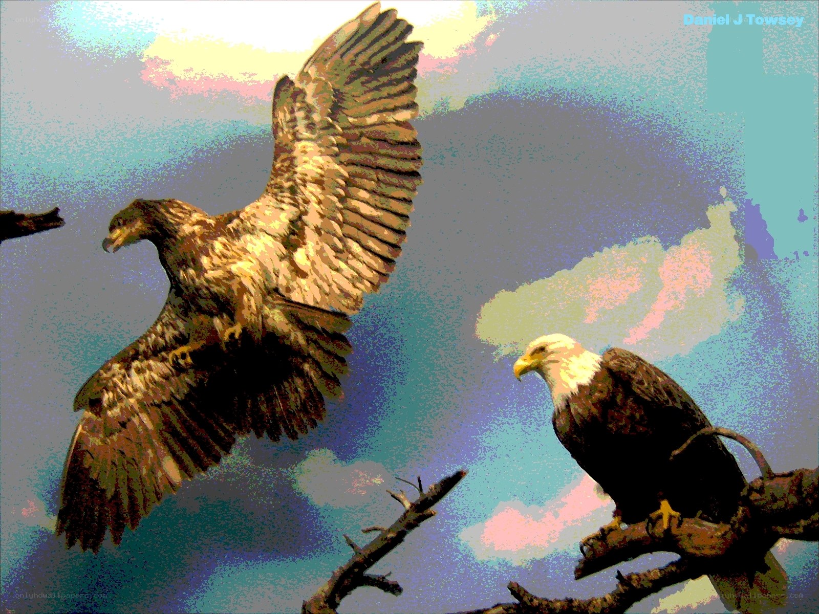 Bald eagles in flight and perched