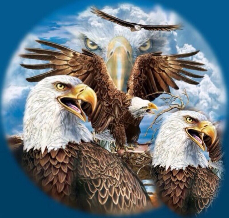 Bald Eagles in Flight — Blue, Dramatic, Digital Art