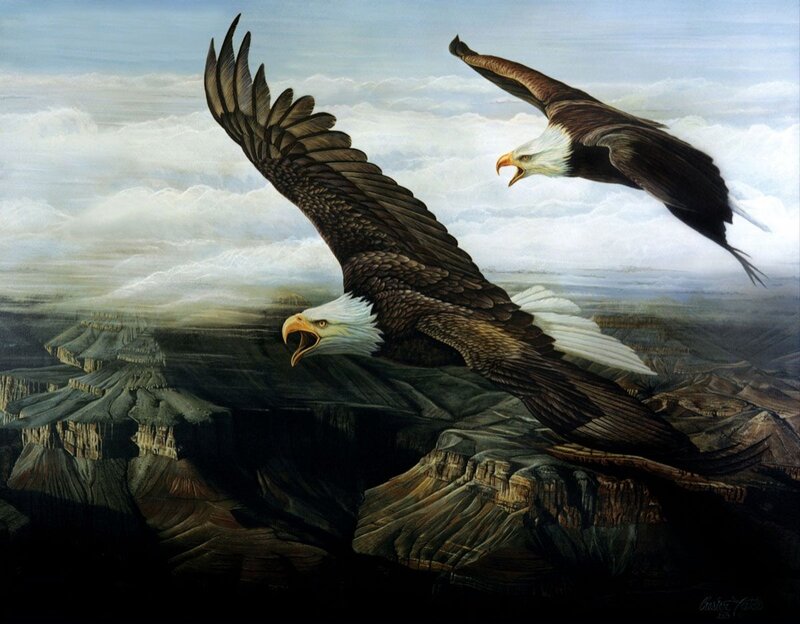 Bald Eagles in Flight — Brown, Dramatic, Painting, Canyon