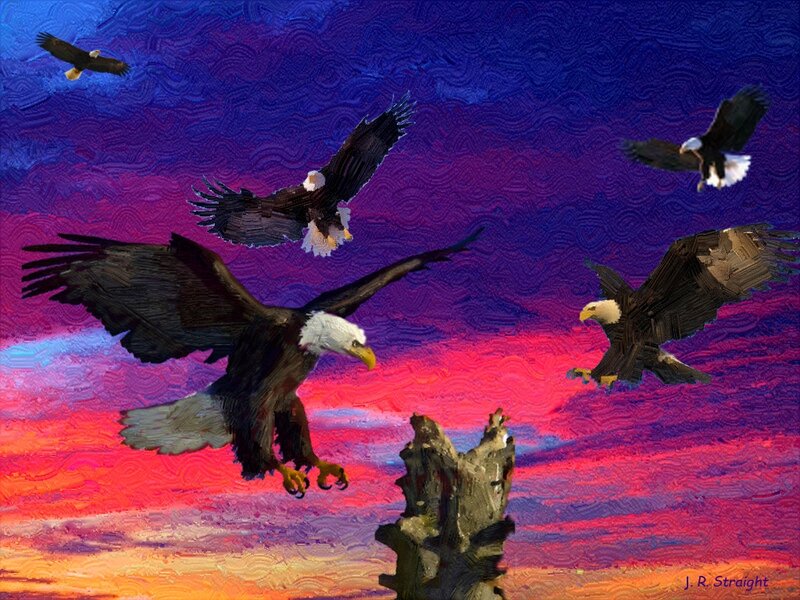 Bald Eagles in Flight — Purple