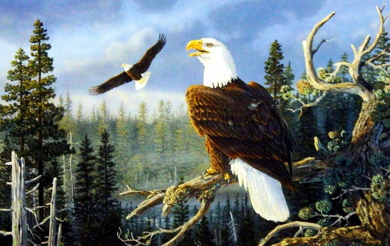 Bald Eagles in Forest — Brown, Serene