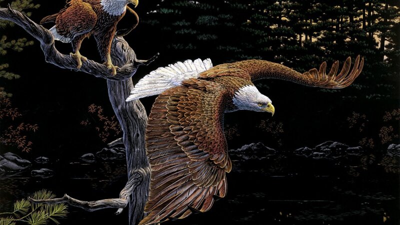 Bald Eagles in Forest — Brown
