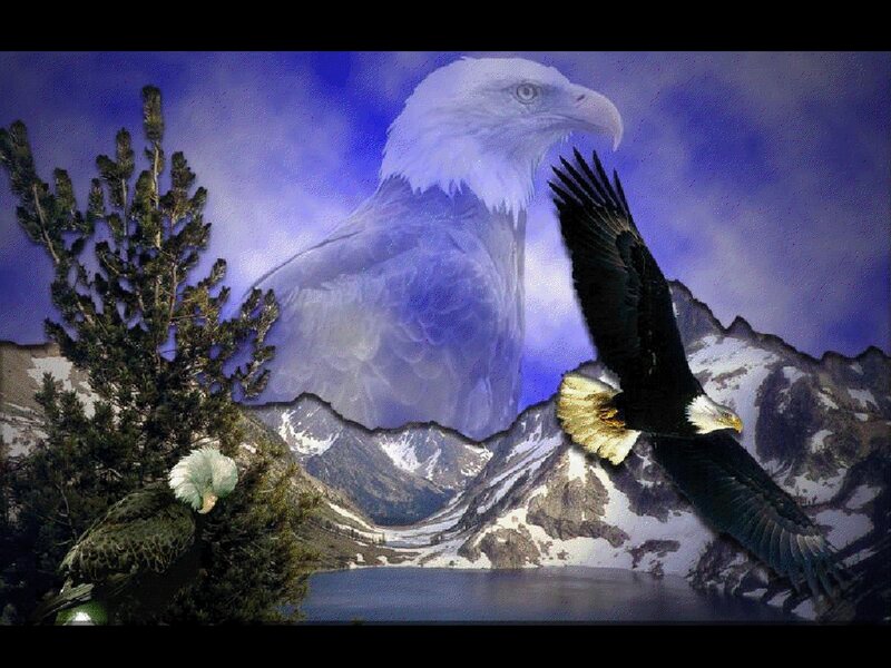Bald Eagles in Mountains — Blue, Dramatic, Digital Art