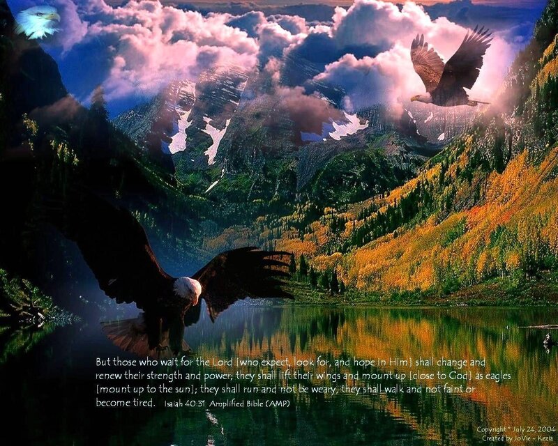 Bald Eagles in Mountains