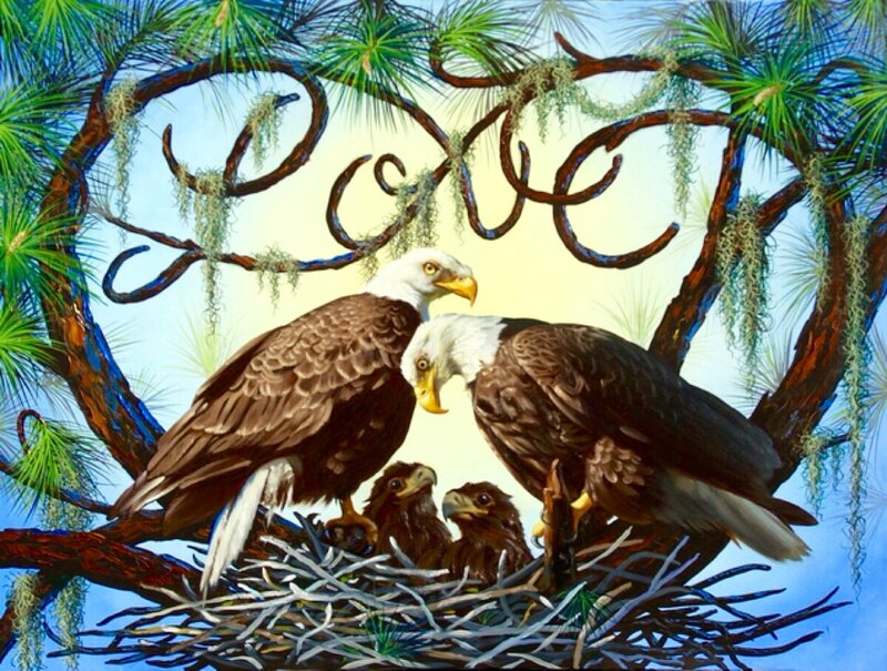 Bald Eagles in Nest — Brown
