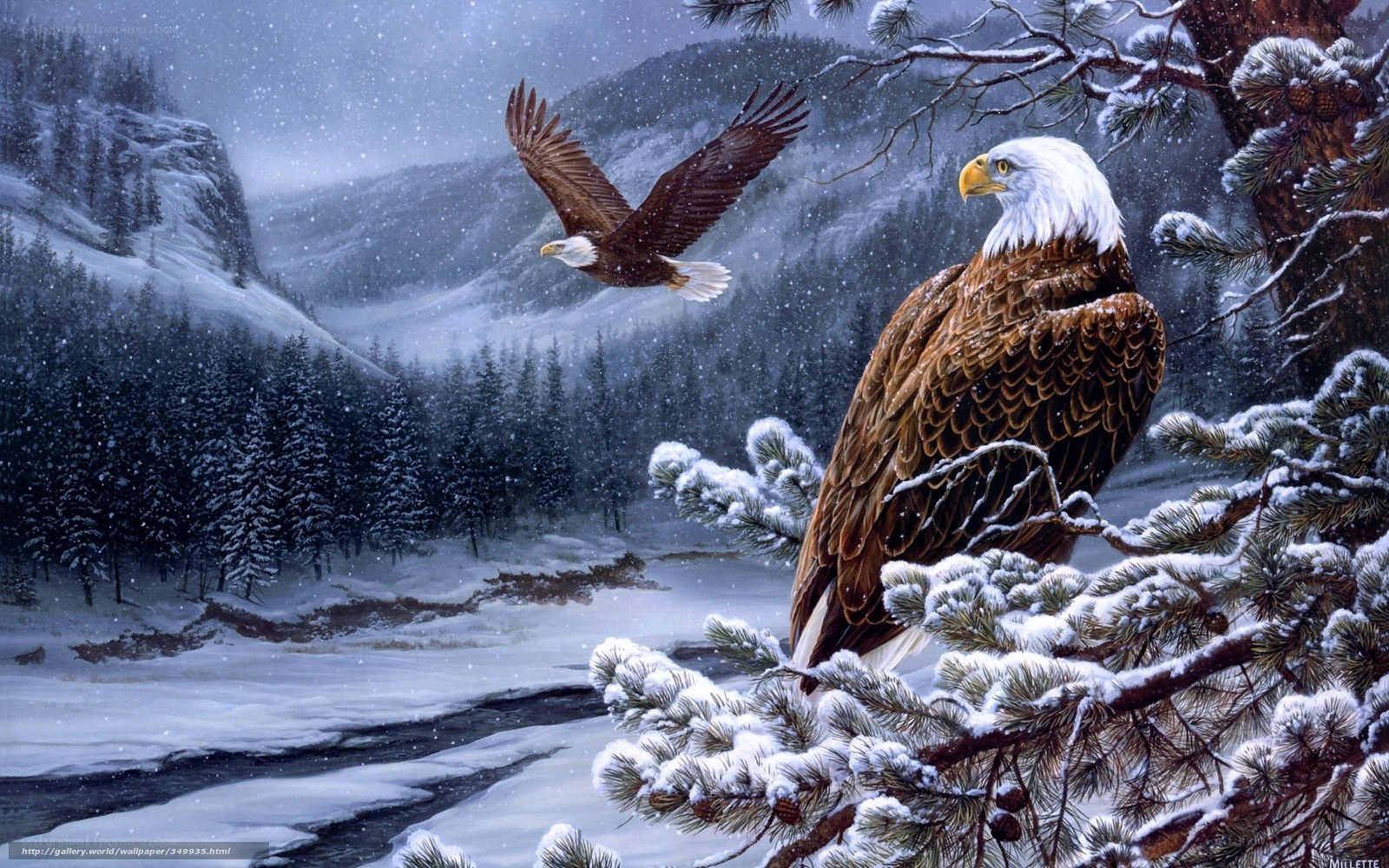 Bald eagles in snowy forest
