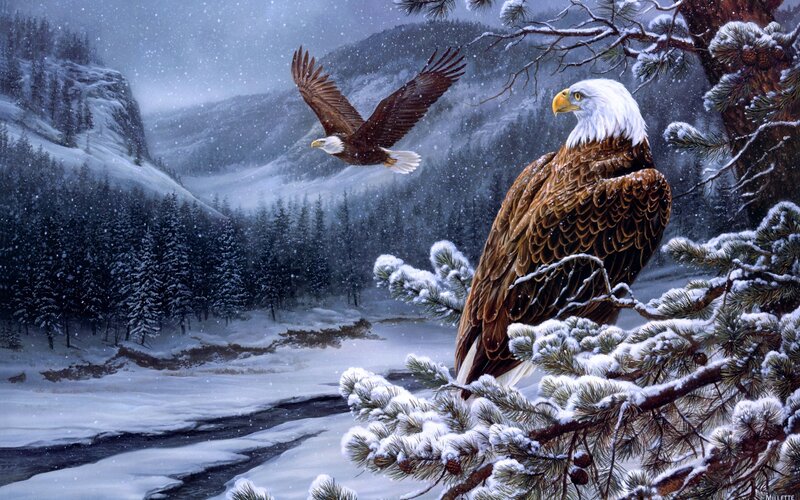 Bald Eagles in Winter — White, Serene, Digital Art