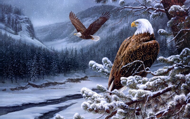 Bald Eagles in Winter — White, Serene