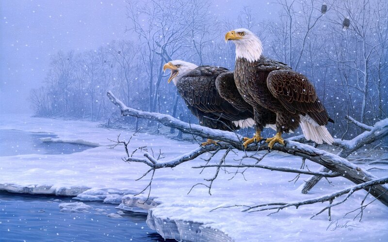 Bald Eagles on Branch — Blue, Cold, Winter, Painting