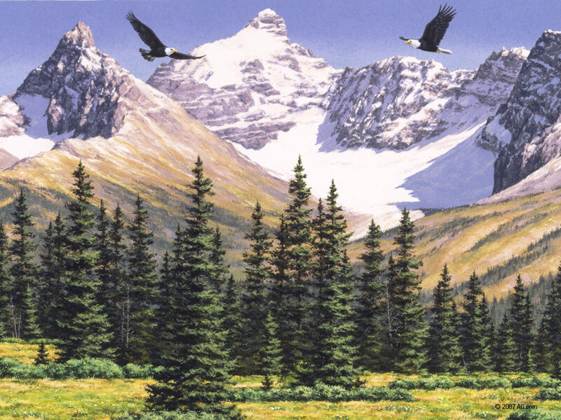 Bald Eagles over Mountains