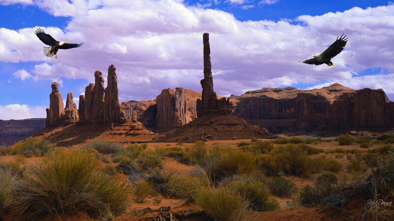 Bald Eagles over Rock Formations