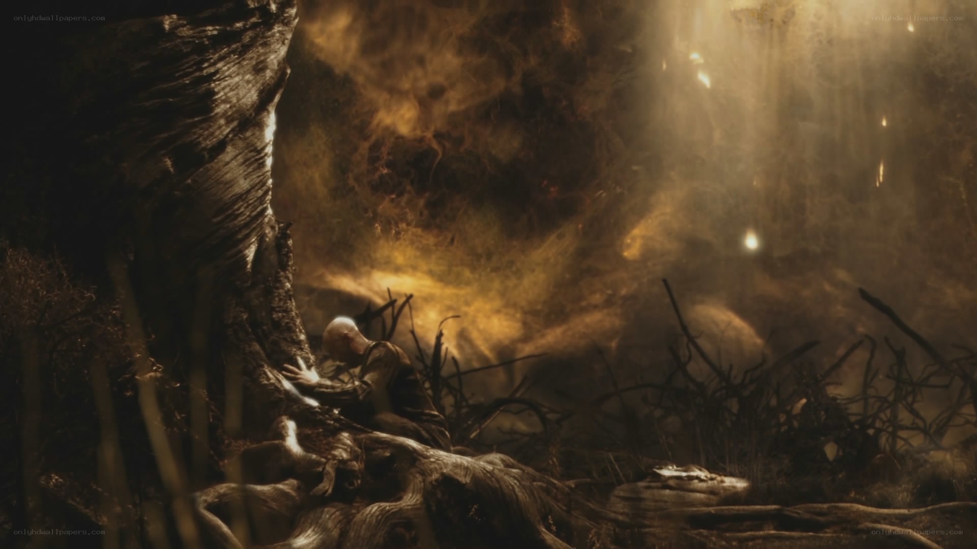 Bald man in a dark forest