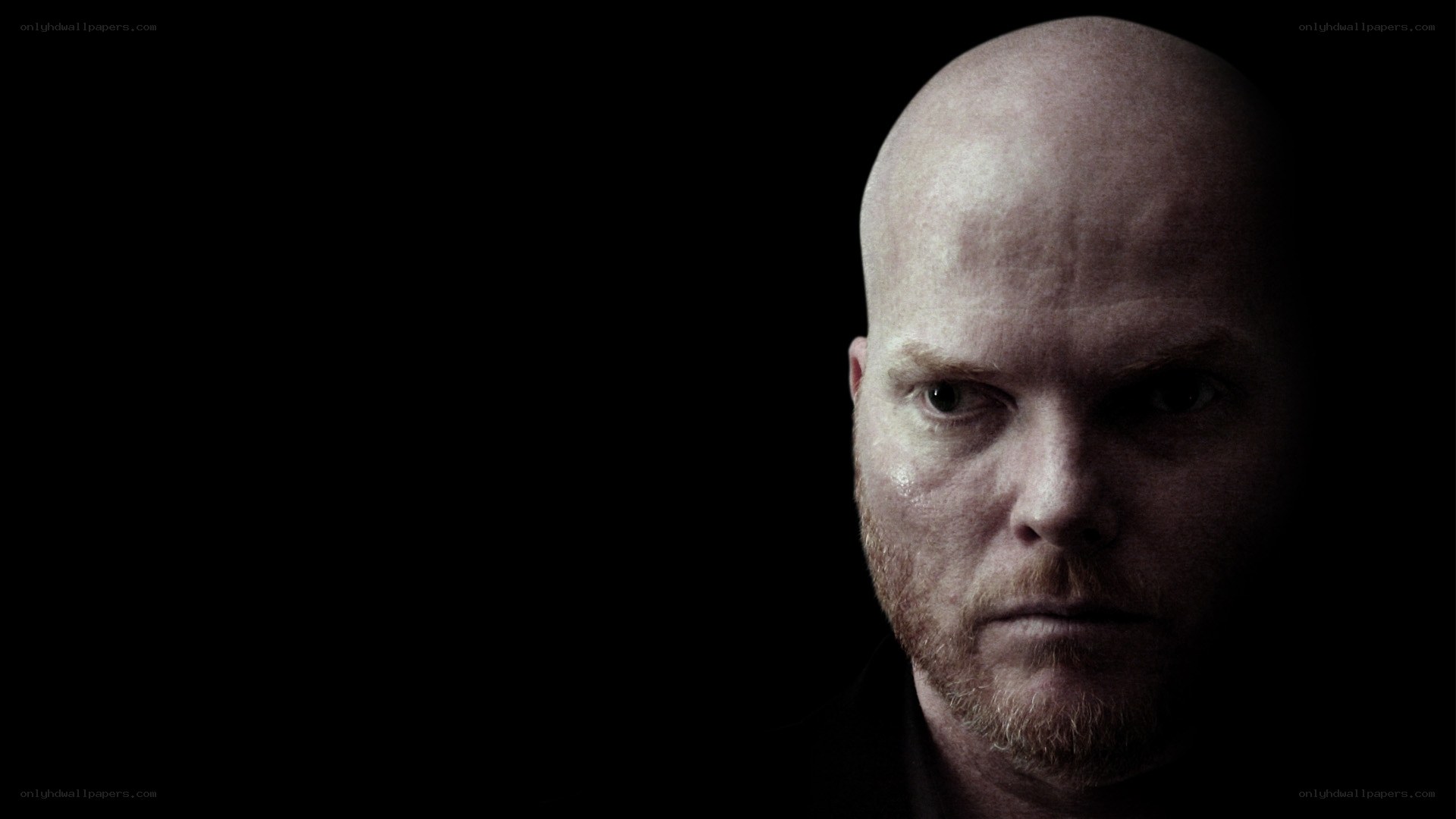 bald man in dark portrait