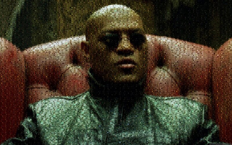 Bald Man in Sunglasses — Green, Dramatic