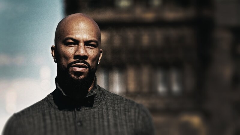Bald Man with Beard — Gray, Serious